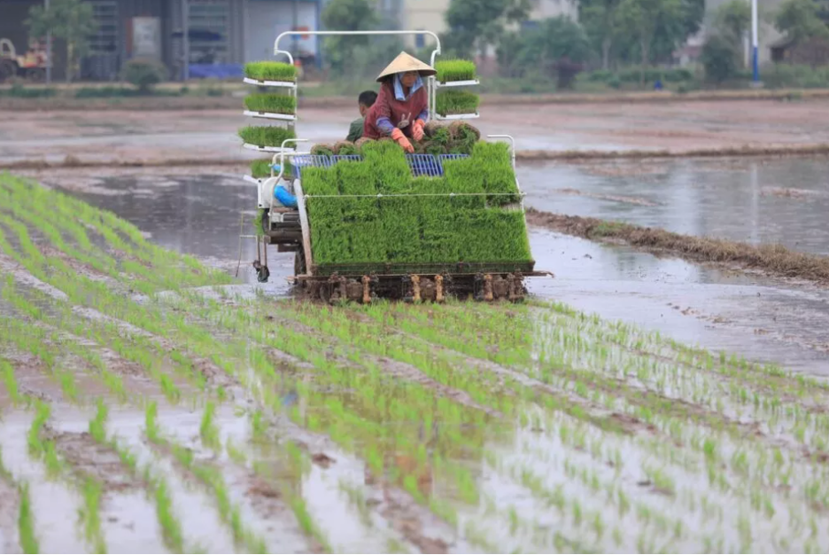 Cải tạo ngành nông nghiệp hỗ trợ giải pháp khí hậu bền vững