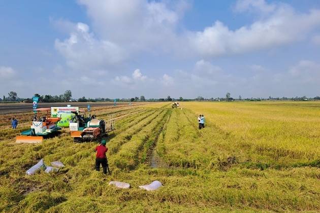 Xây dựng mô hình canh tác lúa giảm phát thải tại Đồng bằng Sông Cửu Long