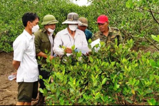 Gia tăng tài nguyên các-bon rừng 