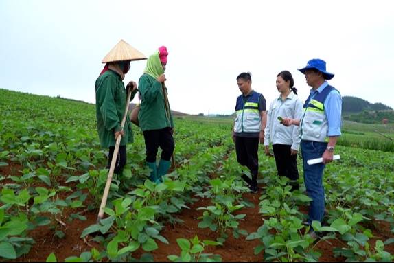 Những người 'gieo hạt'
