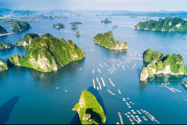 Bộ Nông nghiệp và Môi trường công bố thủ tục hành chính trong lĩnh vực biển và hải đảo