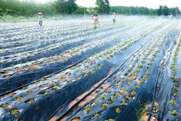 Quảng Bình ban hành kế hoạch chuyển đổi số về nông nghiệp và môi trường 