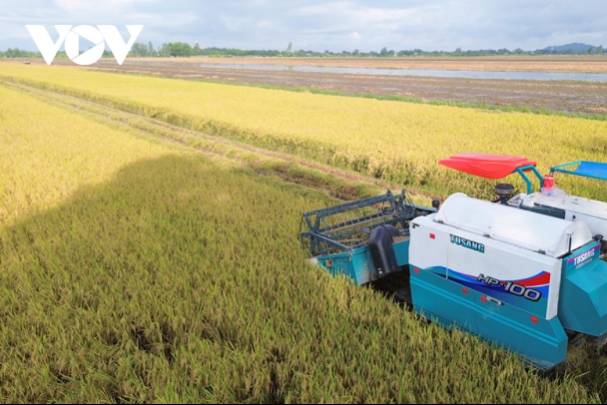 ĐBSCL chủ động trữ nước, kiểm soát mặn bảo vệ sản xuất nông nghiệp