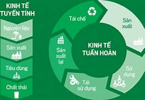 Hỗ trợ doanh nghiệp chuyển đổi mô hình sản xuất kinh doanh theo hướng kinh tế tuần hoàn